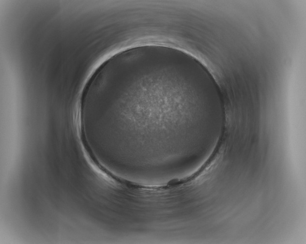 X0000113371515200909151349