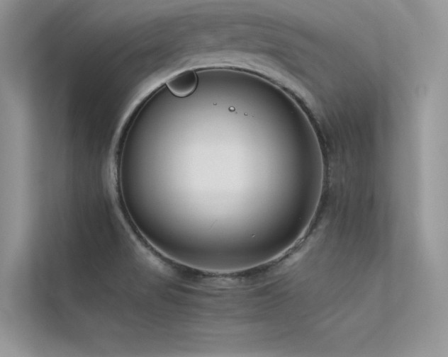 X0000113371517200909151349