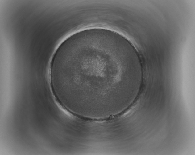 X0000113371519200909151349