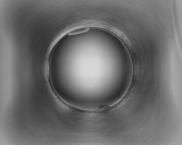 X0000113371520200909151349
