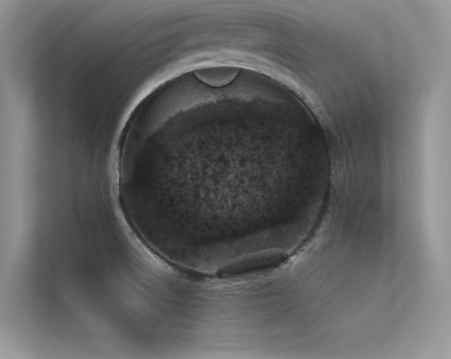 X0000113371522200909151349