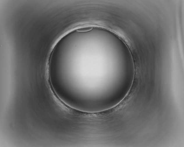 X0000113371524200909151349