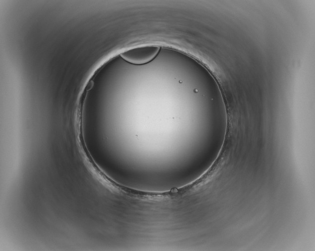 X0000113371526200909151349