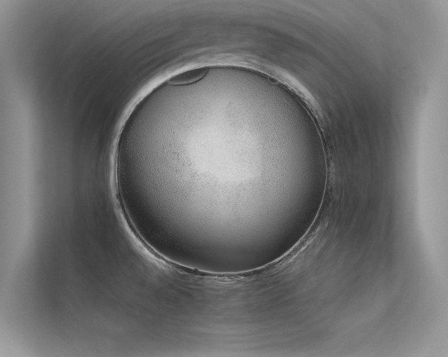 X0000113371528200909151349