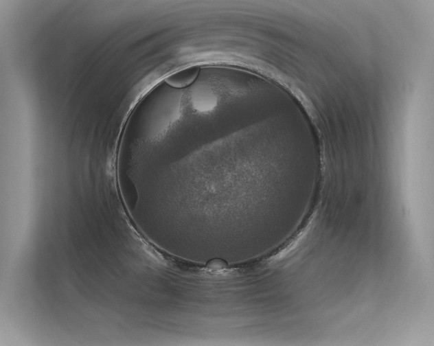 X0000113371529200909151349