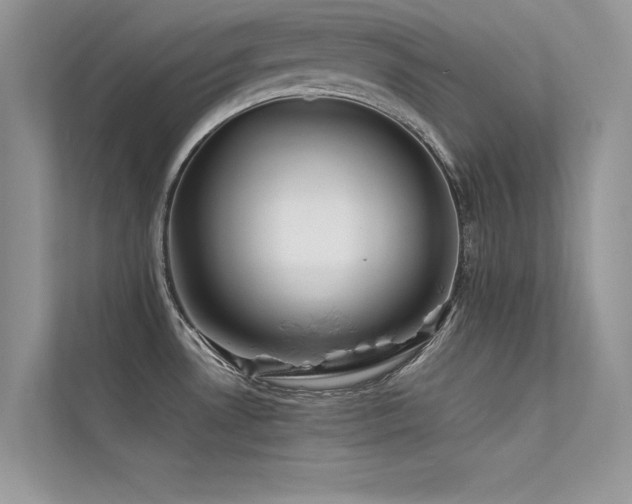 X0000113371530200909151349
