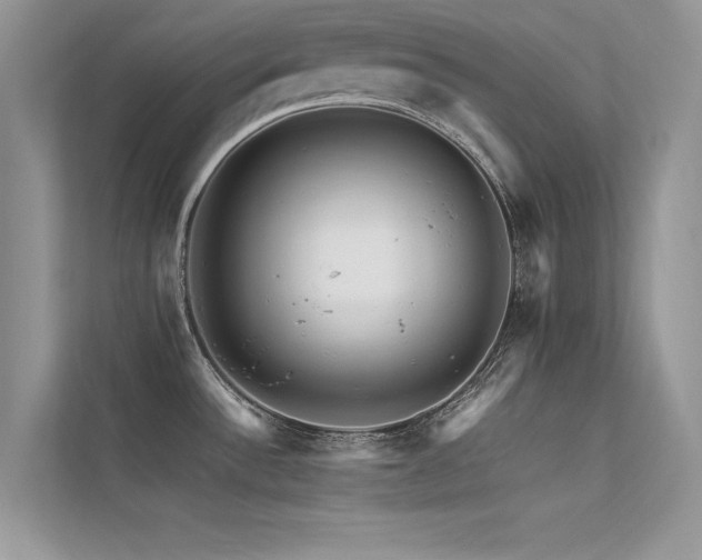 X0000113371532200909151349