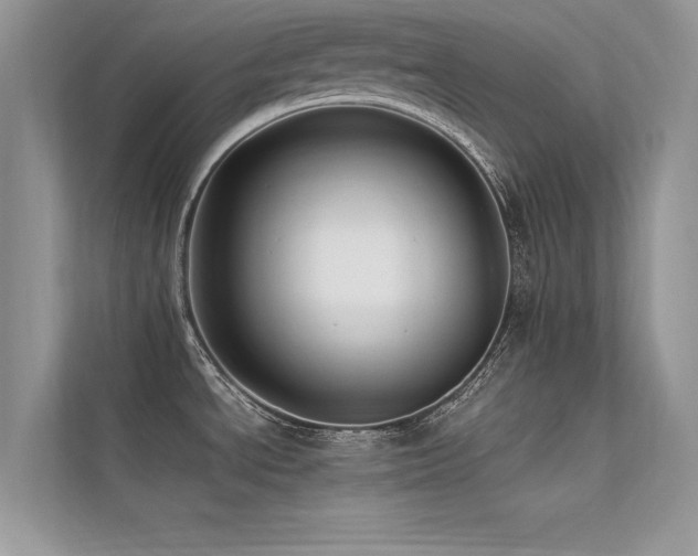 X0000113371534200909151349