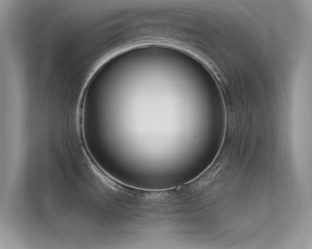 X0000113371535200909151349