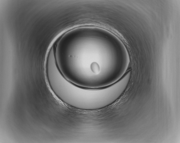 X0000113371536200909151349