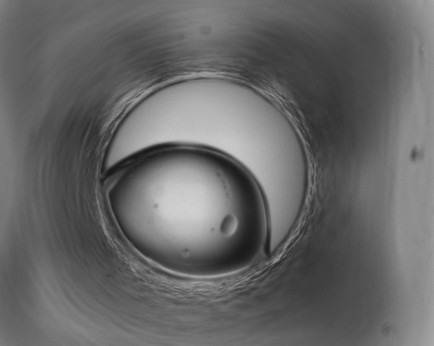 X0000113370001200909221234