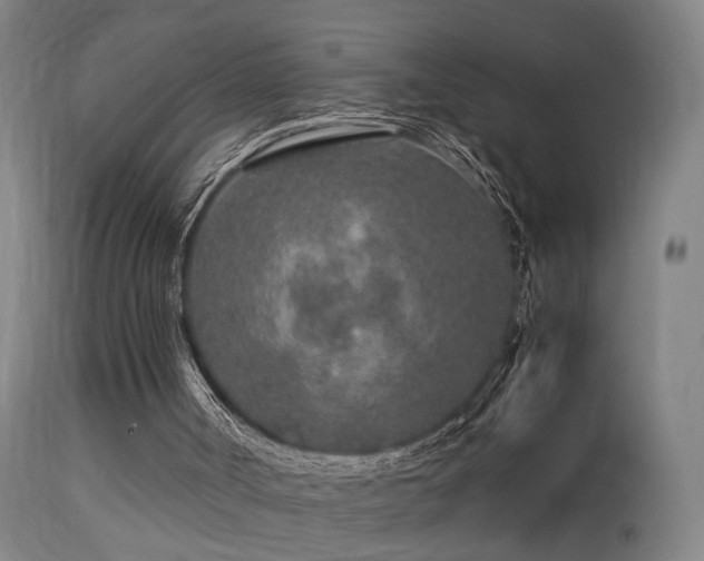 X0000113370002200909221234