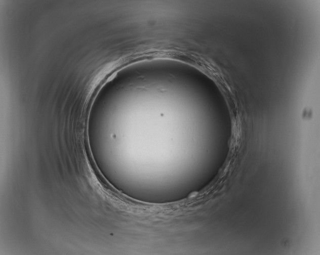 X0000113370003200909221234