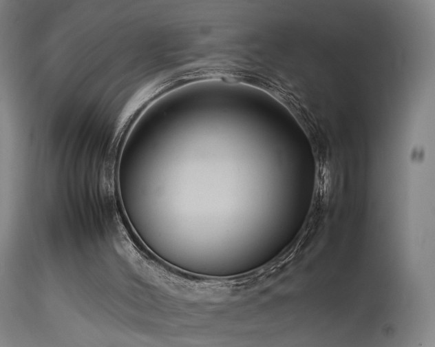 X0000113370004200909221234