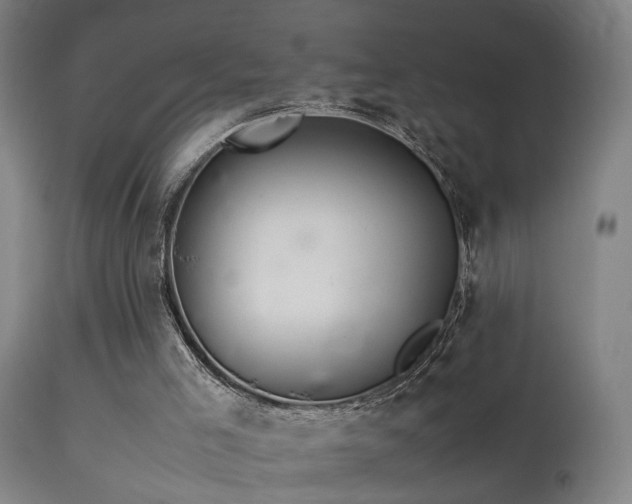 X0000113370005200909221234