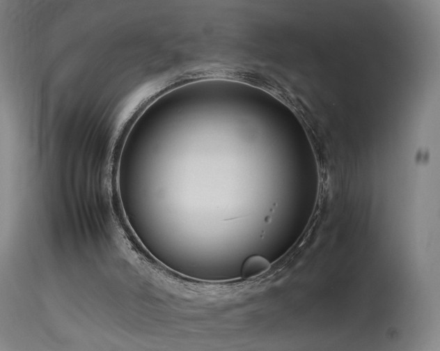 X0000113370006200909221234