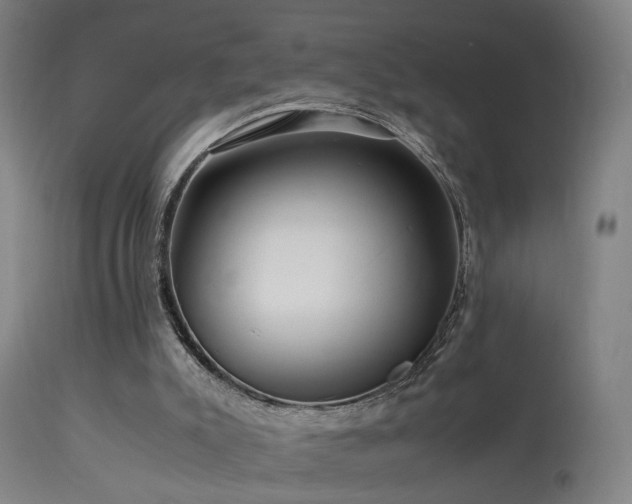 X0000113370007200909221234