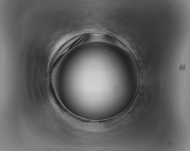 X0000113370008200909221234