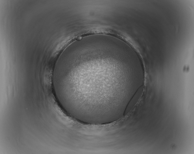 X0000113370009200909221234