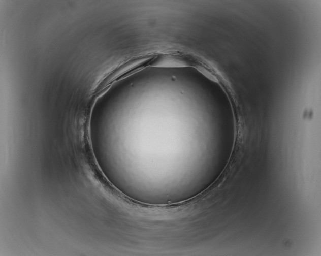 X0000113370010200909221234