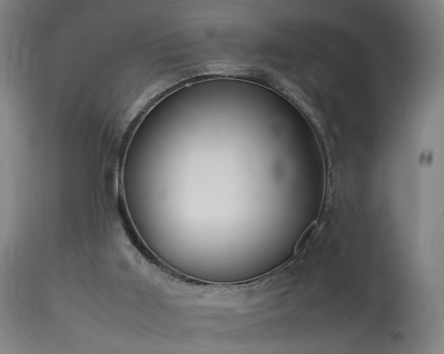 X0000113370011200909221234