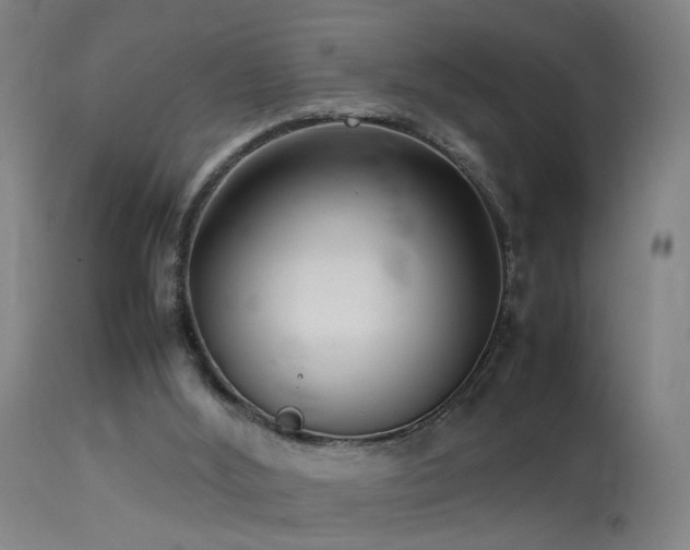 X0000113370012200909221234