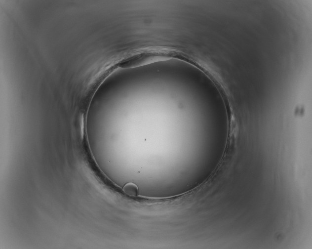 X0000113370013200909221234