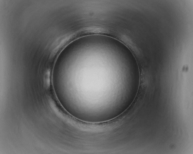 X0000113370014200909221234