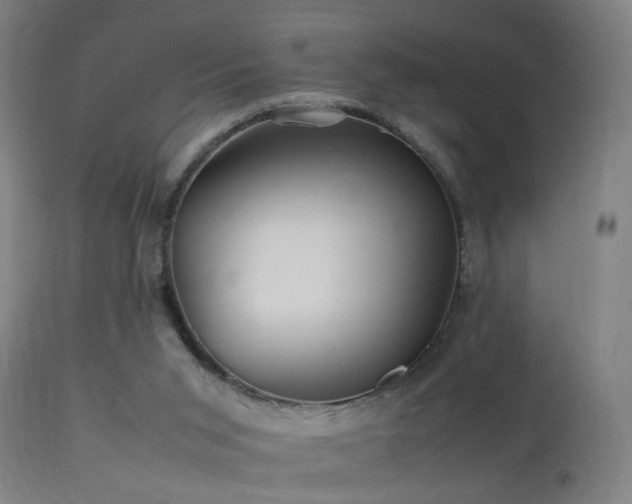 X0000113370015200909221234