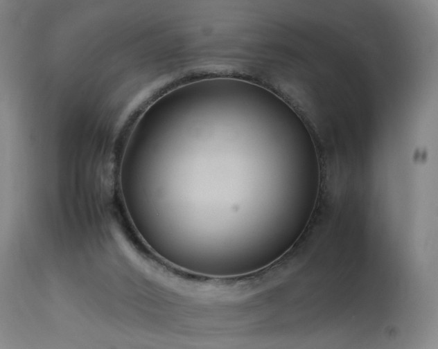 X0000113370016200909221234