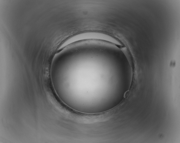 X0000113370017200909221234