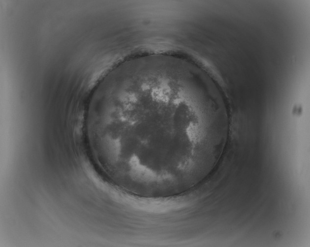 X0000113370018200909221234