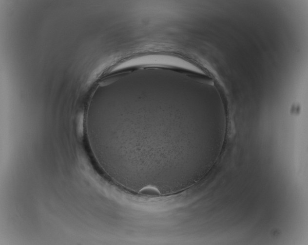 X0000113370019200909221234