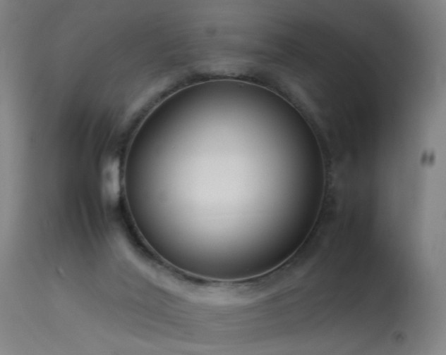 X0000113370020200909221234