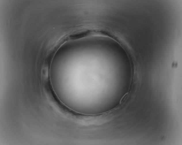 X0000113370021200909221234