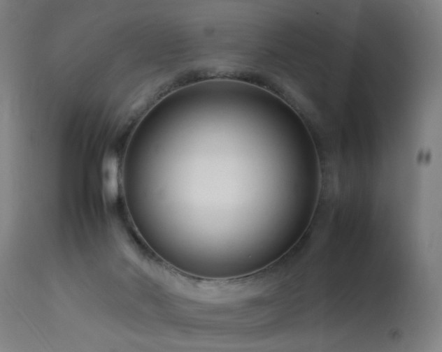 X0000113370022200909221234