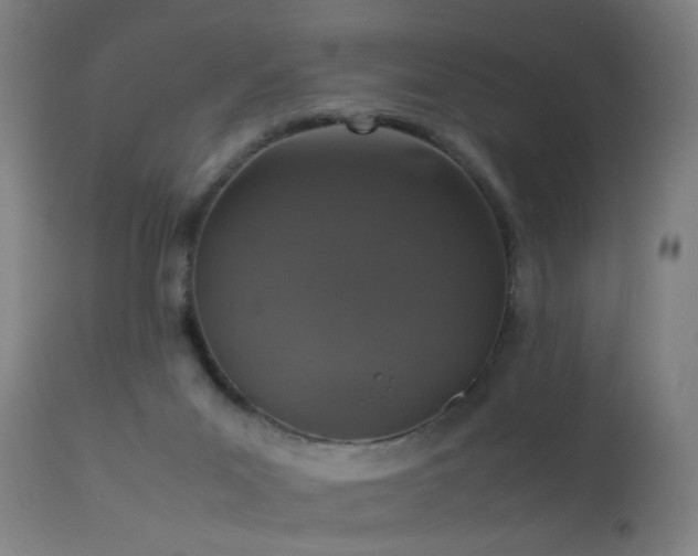 X0000113370023200909221234