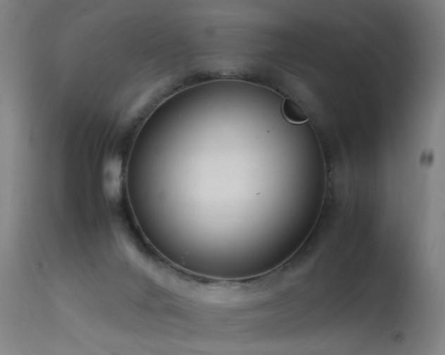 X0000113370024200909221234