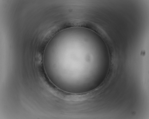 X0000113370025200909221234