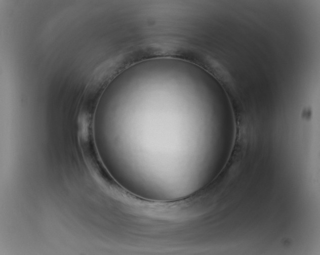 X0000113370026200909221234