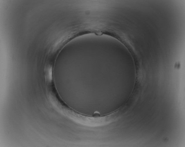 X0000113370027200909221234