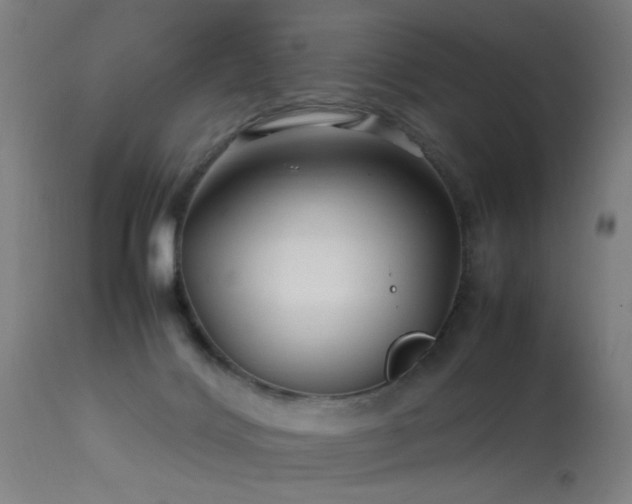 X0000113370028200909221234