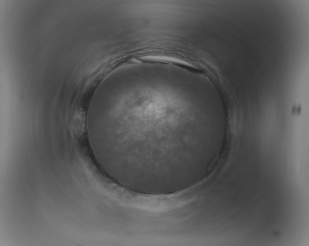 X0000113370029200909221234