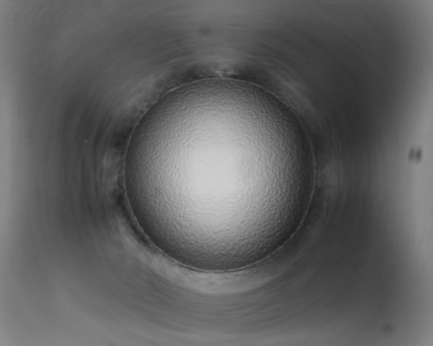 X0000113370030200909221234