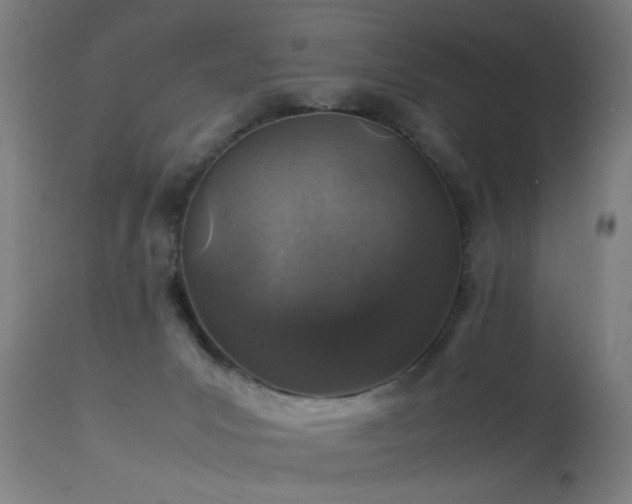 X0000113370031200909221234