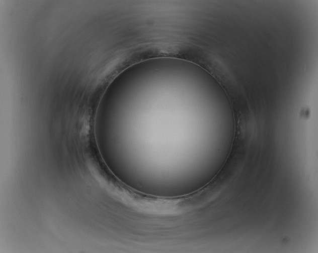 X0000113370032200909221234