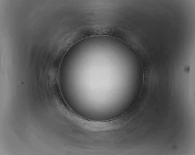 X0000113370034200909221234