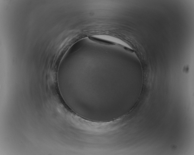 X0000113370035200909221234