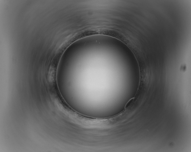 X0000113370036200909221234