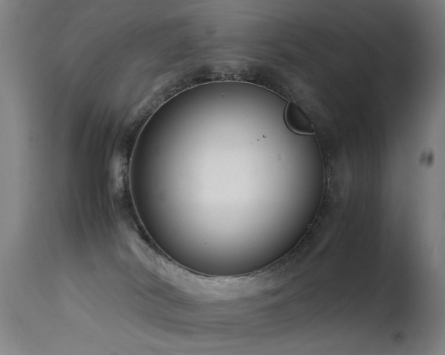 X0000113370038200909221234